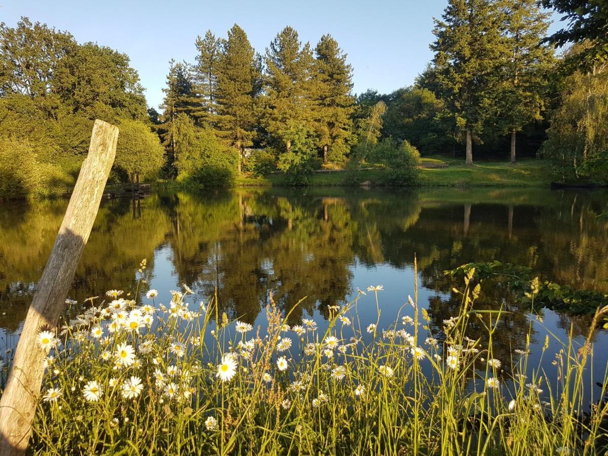 camping de la chagnée Saint-Aubin-le-Cloud Extérieur photo