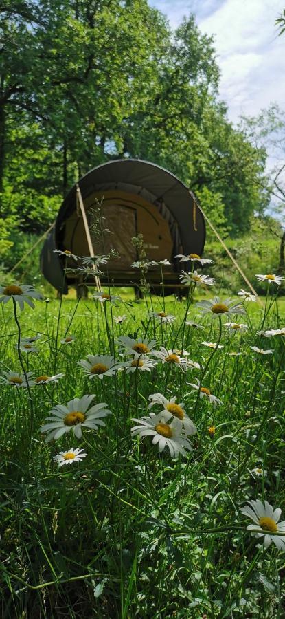 camping de la chagnée Saint-Aubin-le-Cloud Extérieur photo